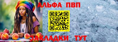 стаф Кинель