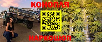 стаф Кинель