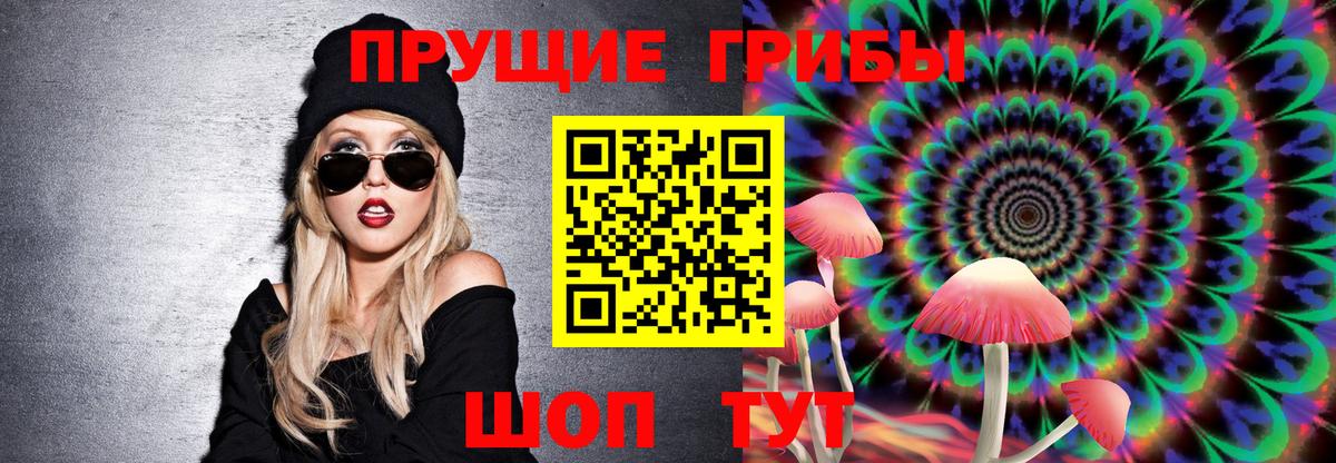 Псилоцибиновые грибы Psilocybine cubensis  Вход с VPN  Коркино 